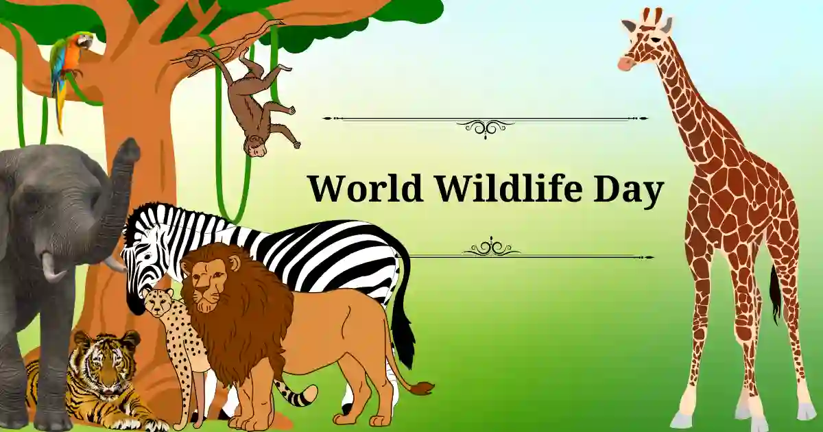 March 3 world day today