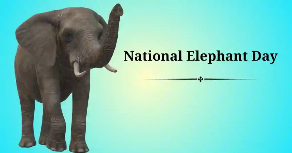 national elephant day